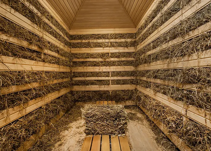 Thermal ホテル 5*